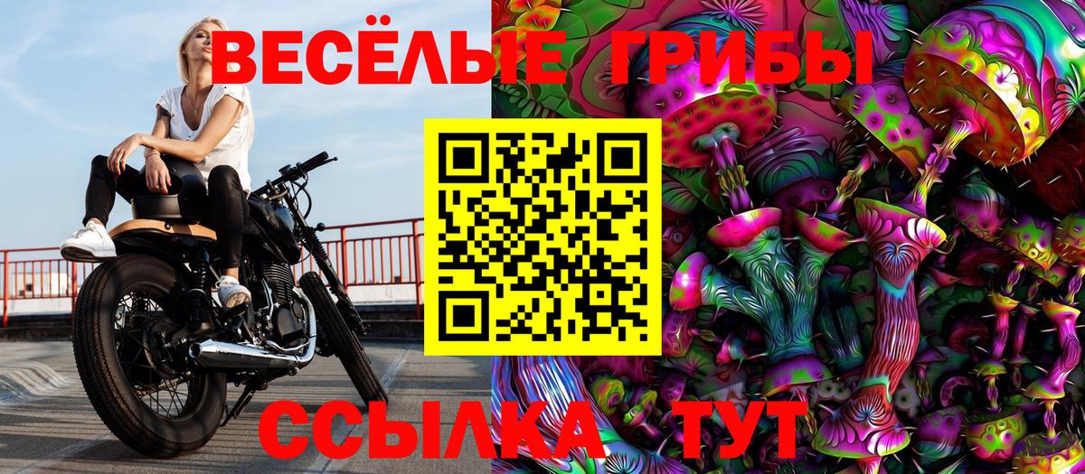 Волжск  Галлюциногенные грибы Cubensis  Вход с VPN 